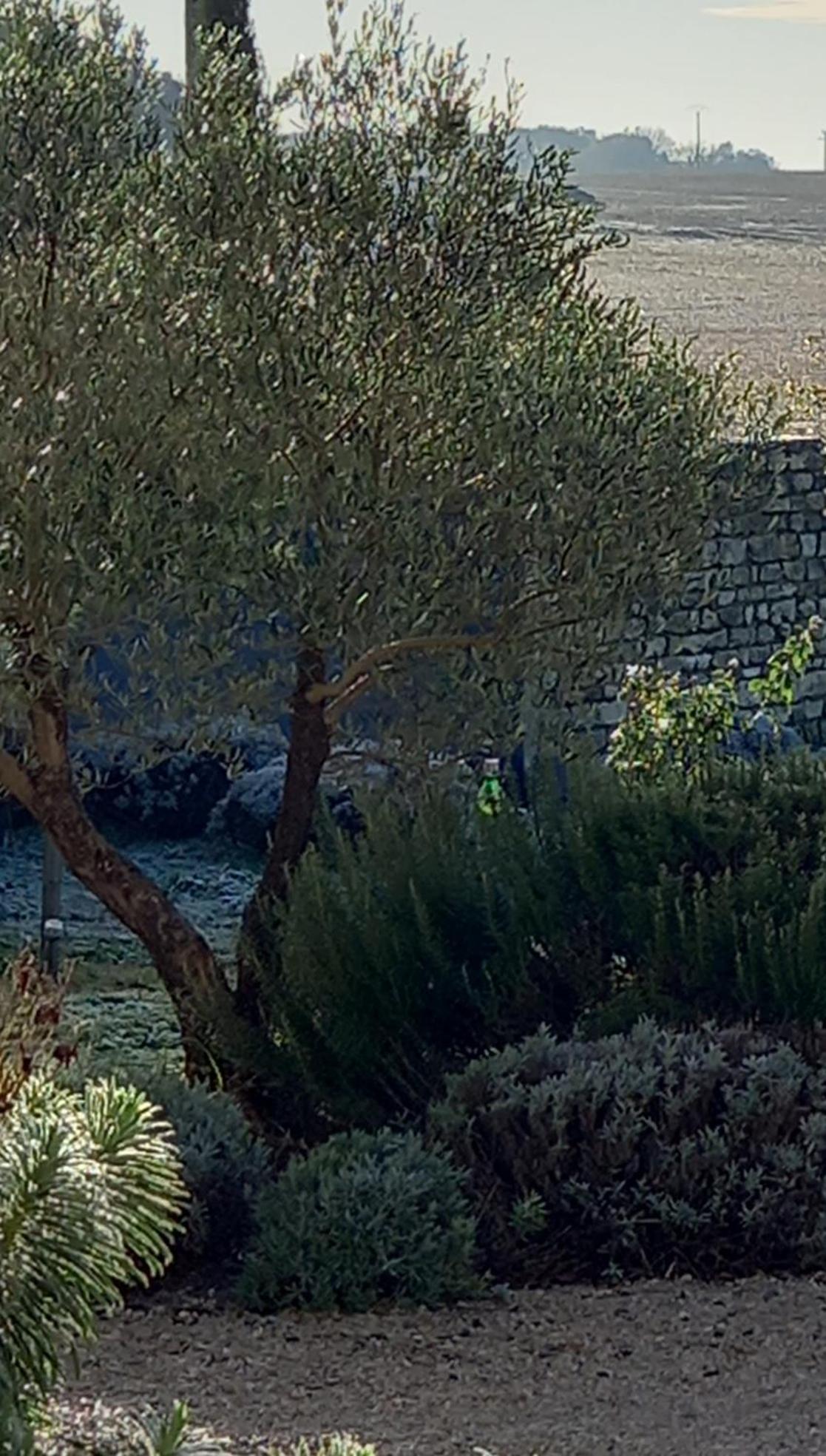مبيت وإفطار Soulignonne La Mesonnetta المظهر الخارجي الصورة